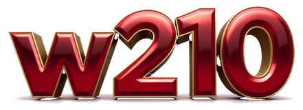 w210 logo